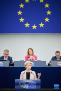 <b>冯德莱恩：需要时将还击美国关税政策</b>